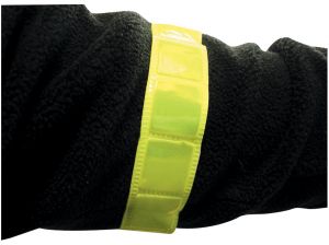 Bright Bands